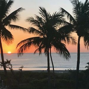 Meet your Posher, Yvette